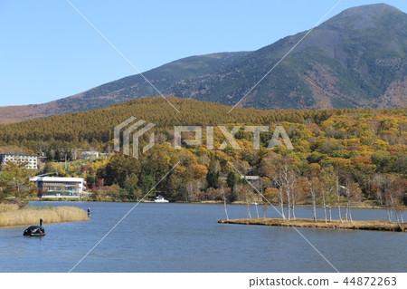 Autumn scene of Lake Shirakaba Autumn scene of Lake Shirakaba 44872263