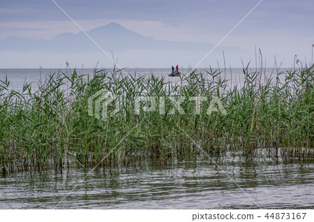 Lake Biwa Lake Biwa 44873167