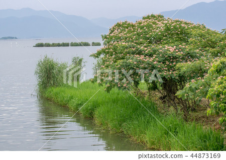 琵琶湖 琵琶湖 44873169