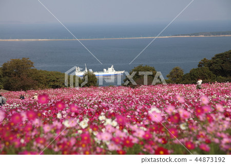 島嶼公園 島嶼公園 44873192