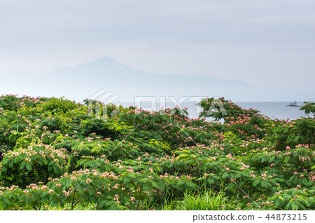 Nemunoki by Lake Biwa Nemunoki by Lake Biwa 44873215