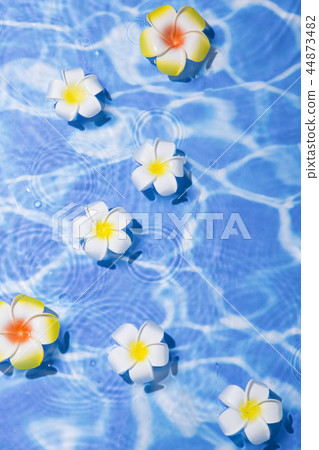 Summer holiday concept photo. vacation items and beach accessories in swimming pool or yellow background. 019 44873482