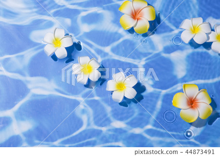 Summer holiday concept photo. vacation items and beach accessories in swimming pool or yellow background. 013 44873491