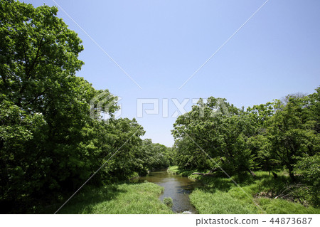 Greenery Concept photo, Green Leaves and tree in nature seasonal. 044 Greenery Concept photo, Green Leaves and tree in nature seasonal. 044 44873687