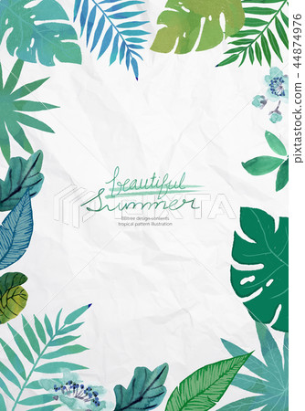 Tropical 06 44874976