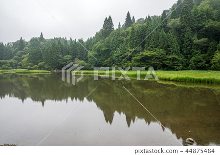 春天的Hiratekei滋賀縣高島市 44875484