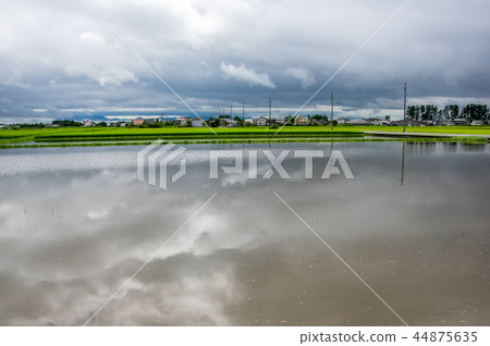 Flooded fields 44875635