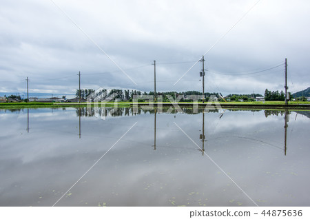 Flooded fields Flooded fields 44875636