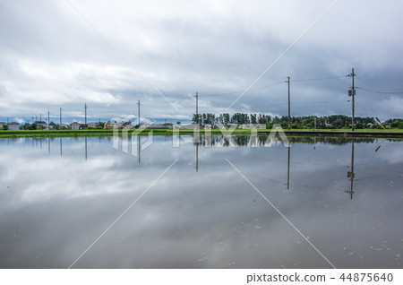 水淹的田野 水淹的田野 44875640