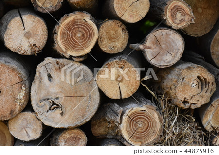 Log firewood 44875916