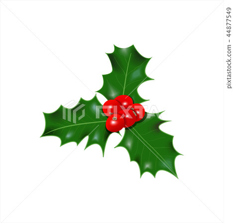 Holly berry icon. Christmas symbol vector - Stock Illustration ...