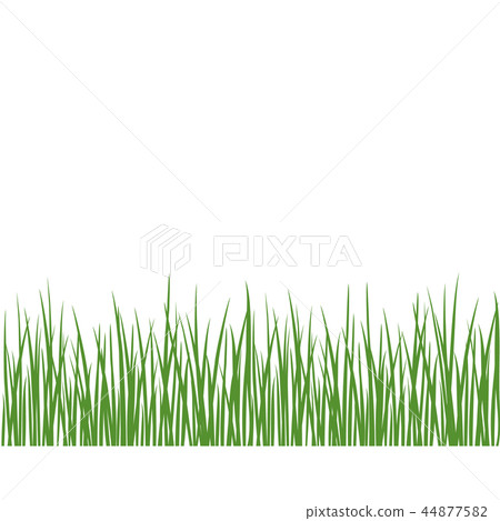 Grass detailed silhouettes on white. Herbs garden Grass detailed silhouettes on white. Herbs garden 44877582