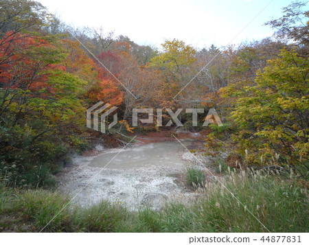 Bokke Lake Akan Nature Tour Track 44877831