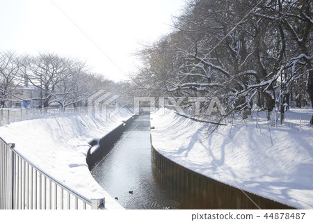 Zenfukuji雪 44878487