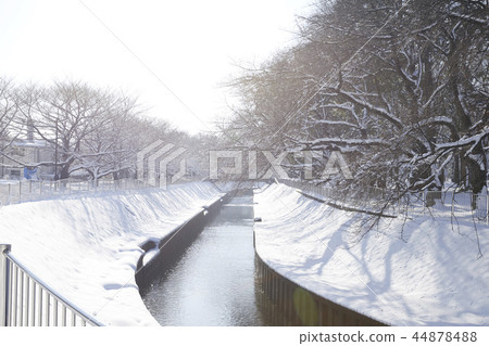 Zenfukuji雪 44878488