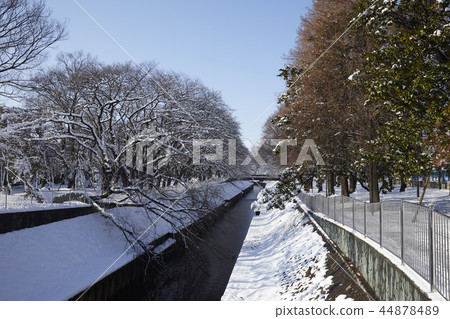 Zenfukuji Snow 44878489
