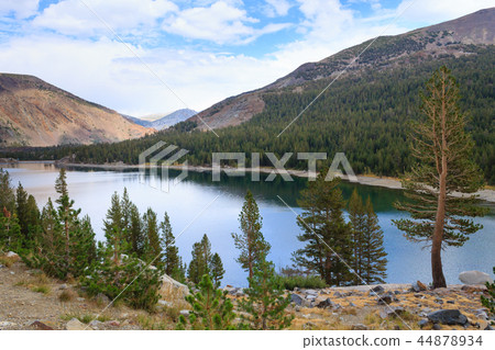Panorama from Yosemite National Park 44878934