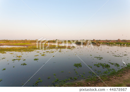 Beautiful Pantanal landscape, South America,Brazil 44878987