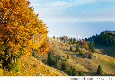 Autumn mountain landscape Autumn mountain landscape 44879035