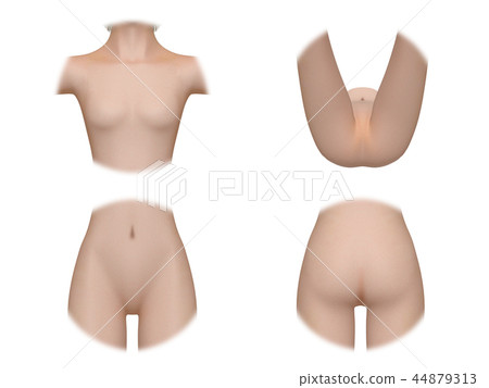 Female Body Person Beauty Body Parts Stock Illustration 44879313 Pixta