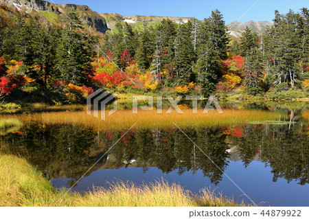 Autumn leaves of the Taisetsu Kogen Midorinuma Autumn leaves of the Taisetsu Kogen Midorinuma 44879922
