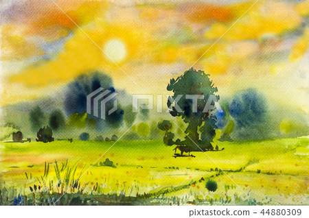 Watercolor landscape painting of rice field. 44880309