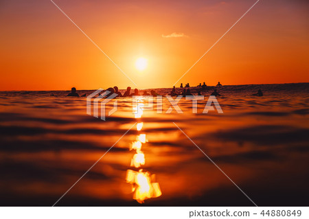 Surfers on line up at sunset. Professional surfing 44880849