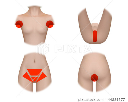 女性美體美容材料精緻區域 女性美體美容材料精緻區域 44881577