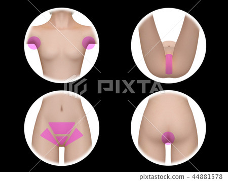 Women Body Beauty Beauty material delicate zone Women Body Beauty Beauty material delicate zone 44881578