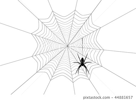 Spider black silhouette hanging on web, vector eps Spider black silhouette hanging on web, vector eps 44881657