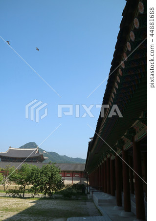 紫禁城 宮殿 韓國 44881688