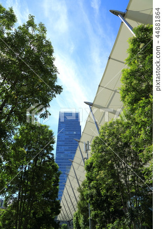 Landscape of greening of Tokyo Station Yaesu Exit 44881864
