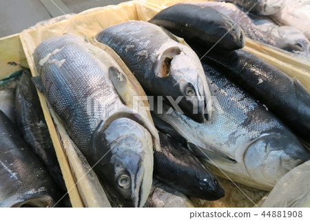 三文魚 44881908