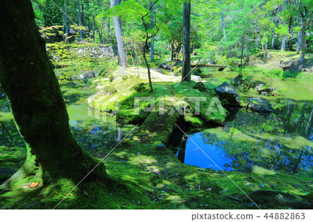 Zen temple Saihoji 44882863