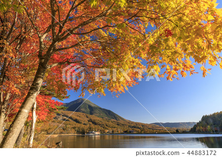 湖女神 湖女神 44883172