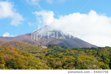 Scenery from the waterfall waterfall observation deck Scenery from the waterfall waterfall observation deck 44883798