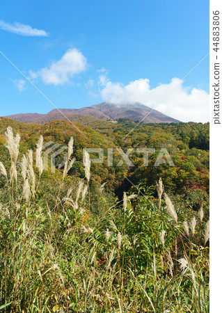 Scenery from the waterfall waterfall observation deck 44883806