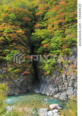 秋山町秋中津川谷（近Maekurabashi） 44884639