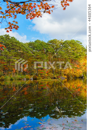 Urabayaya pond 44885364