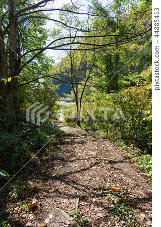 Ulsan Gold Line Phantom Waterfall 44885413