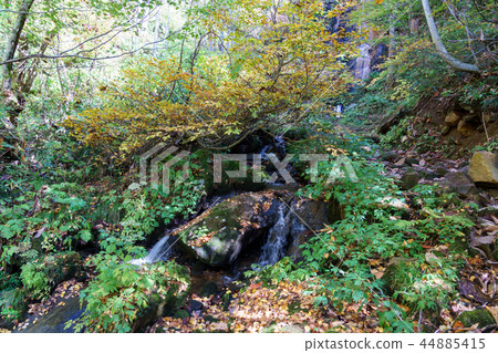 Ulsan Gold Line Phantom Waterfall Ulsan Gold Line Phantom Waterfall 44885415