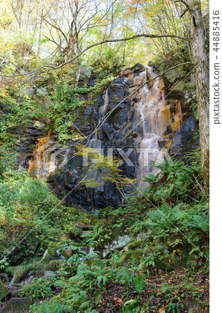 Ulsan Gold Line Phantom Waterfall 44885416