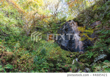 Ulsan Gold Line Phantom Waterfall Ulsan Gold Line Phantom Waterfall 44885421