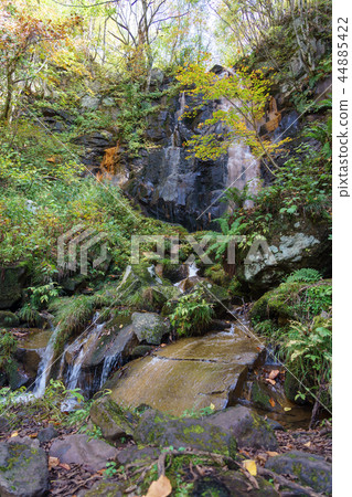 Ulsan Gold Line Phantom Waterfall Ulsan Gold Line Phantom Waterfall 44885422