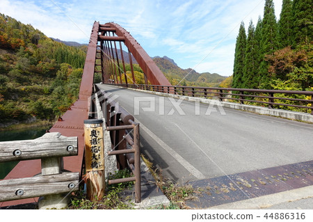 Autumn tail flower gorge back hem flower bridge Nagano City Onari 44886316