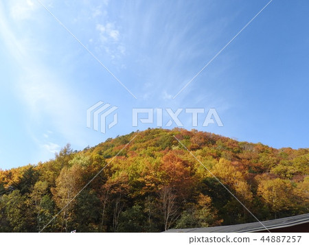 Scenery, scenery 44887257