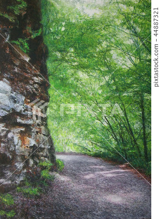 Oku Chichibu Painting of a fresh green forest road Oku Chichibu Painting of a fresh green forest road 44887321