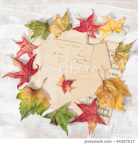Used paper and autumn leaves rustic wooden  44887837