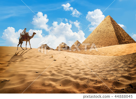 Camel near pyramids 44888045