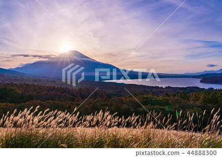 (Yamanashi Prefecture) Lake Yamanaka panorama stand, Mt. Fuji in autumn 44888300